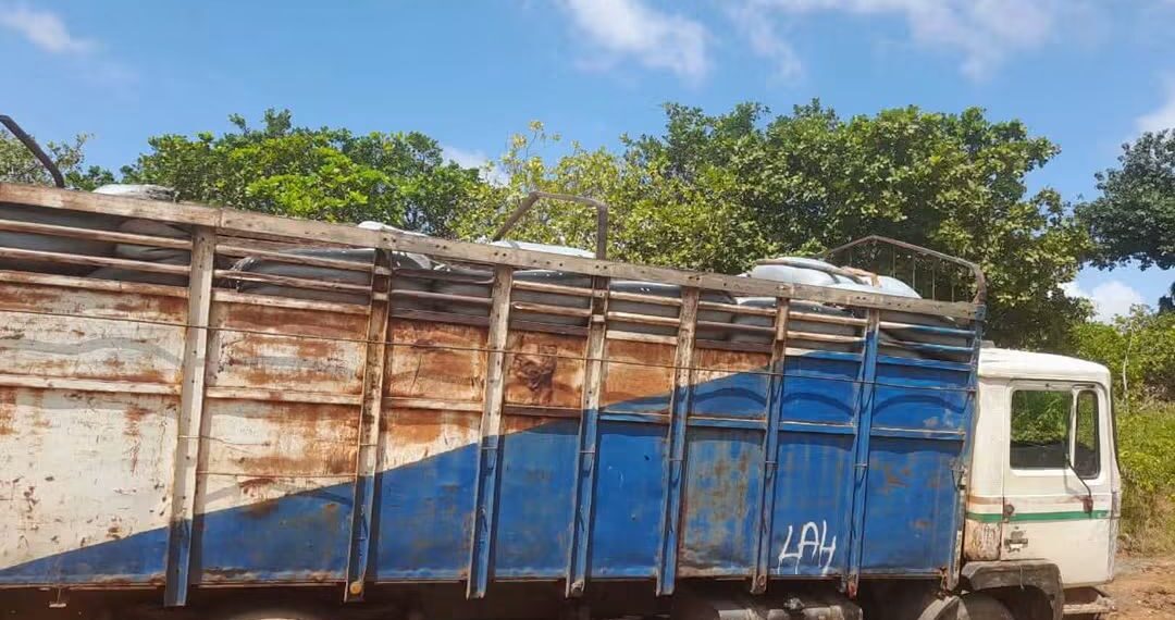 Odienné : un camion de 10 tonnes chargé de bois illégal intercepté sous des sacs de riz