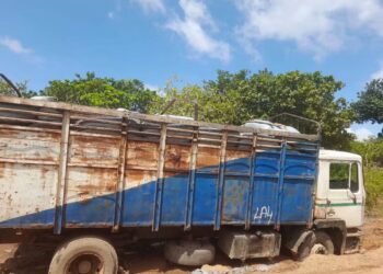 Odienné : un camion de 10 tonnes chargé de bois illégal intercepté sous des sacs de riz
