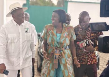 Nouvel organe électoral : Simone Ehivet Gbagbo et ses alliés en concertation au siège du PDCI-RDA