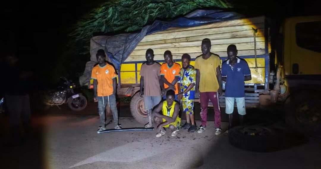 Exploitation illégale du bois : plusieurs personnes interpellées après une saisie nocturne à Abeanou