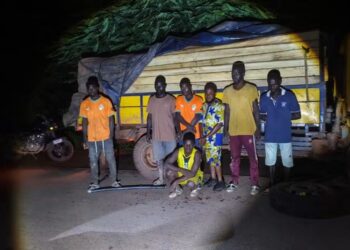 Exploitation illégale du bois : plusieurs personnes interpellées après une saisie nocturne à Abeanou