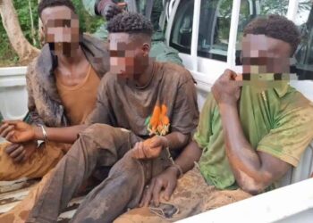 Yamoussoukro : 19 sites d’orpaillage illégal démantelés, trois individus arrêtés