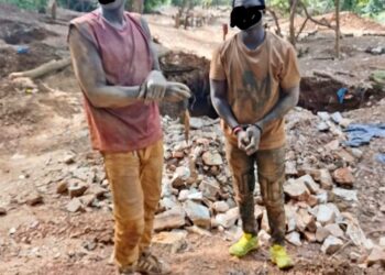 Dabakala : deux individus interpellés dans la forêt classée de Kinkéné pour orpaillage illégal