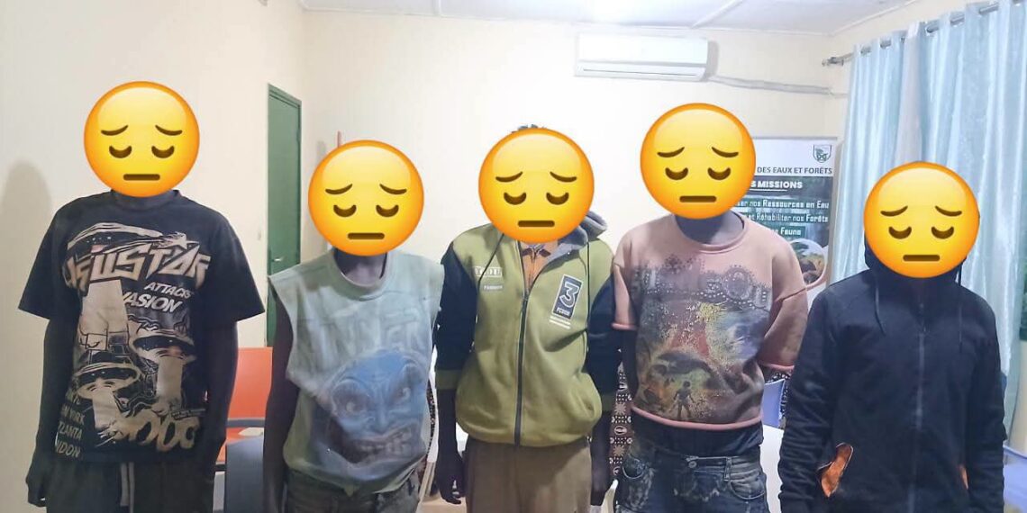 Orpaillage illégal à Sirasso : cinq Burkinabè interpellés sur un site clandestin à Taléré