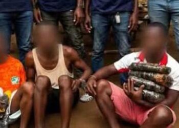 Drogue : le GRAD Spécial frappe à Toupah et Jacqueville et démantèle deux fumoirs