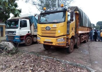 Cacao : 42 tonnes interceptées dans une tentative de sortie frauduleuse vers le Ghana