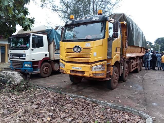 Cacao : 42 tonnes interceptées dans une tentative de sortie frauduleuse vers le Ghana