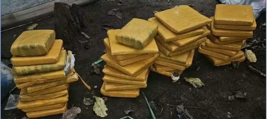 Yopougon : la police met la main sur 41 kg de cannabis à Andokoi