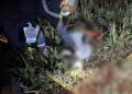 Agboville : un homme de 37 ans mortellement percuté par un train à Grand-Yapo
