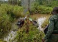 Buyo : deux dragues détruites dans une opération contre l’orpaillage illégal à Amanikro
