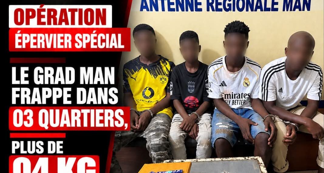 Man : coup de filet anti-drogue, 4 suspects interpellés et plus de 4 kg cannabis saisis