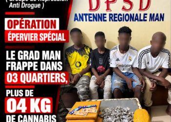 Man : coup de filet anti-drogue, 4 suspects interpellés et plus de 4 kg cannabis saisis