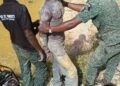 Bongouanou : les agents des Eaux et Forêts démantèlent un site d’orpaillage illégal et saisissent du matériel, à Abongoua