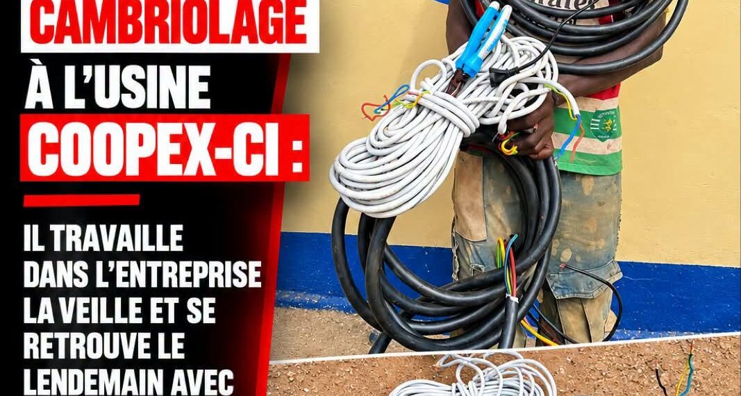 Korhogo – Cambriolage à l’usine COOPEX-CI : un ancien employé présumé arrêté avec des câbles volés, trois complices dénoncés